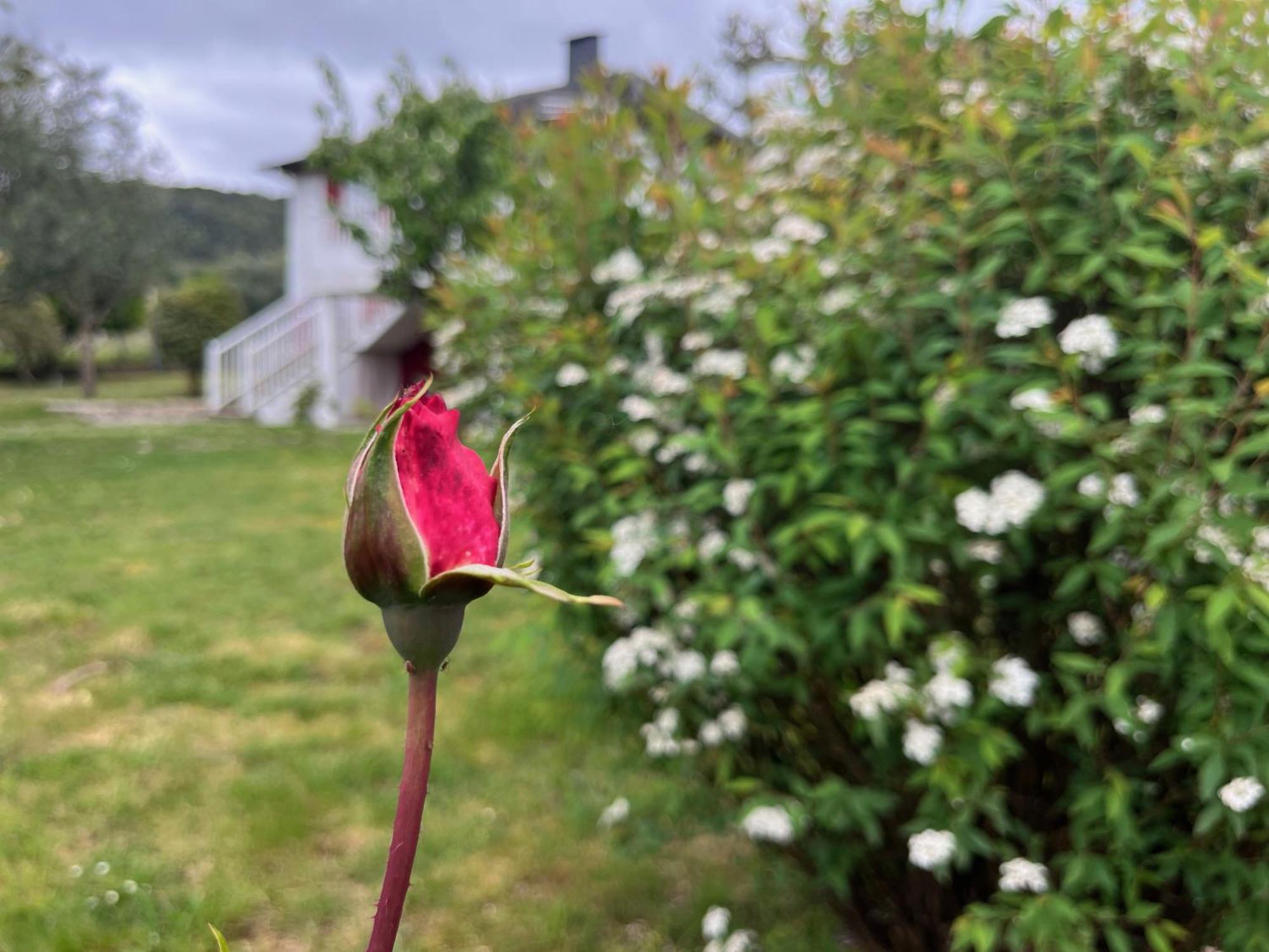 A Casina Casa Rural En Galicia Ourense Extérieur photo