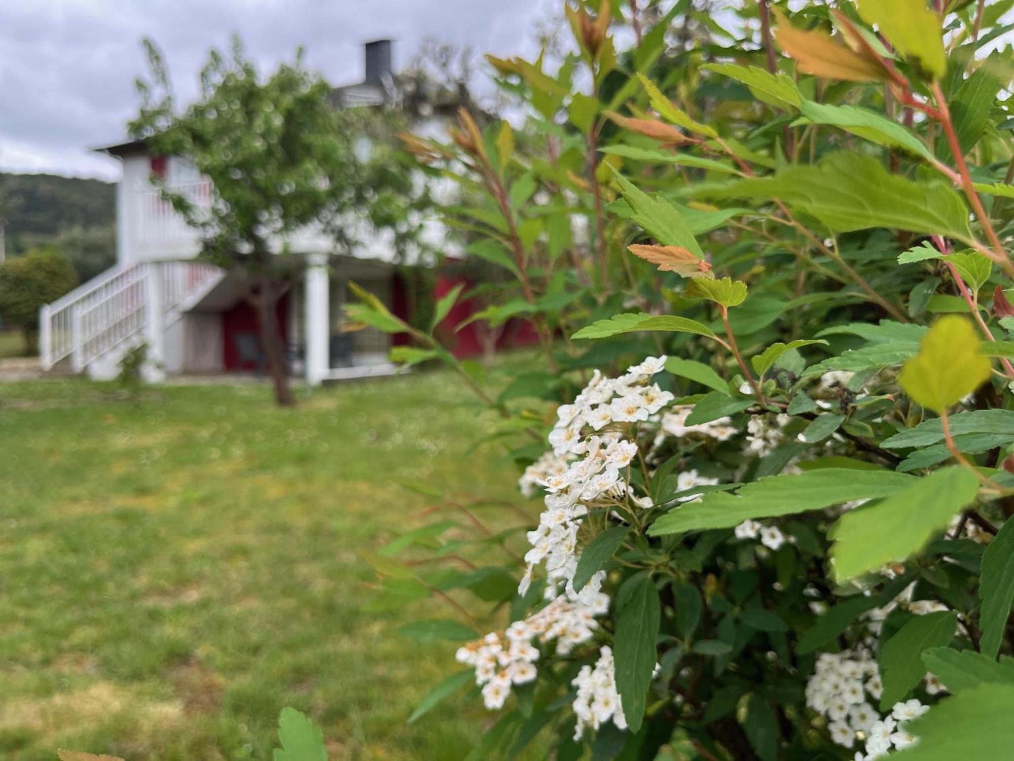 A Casina Casa Rural En Galicia Ourense Extérieur photo